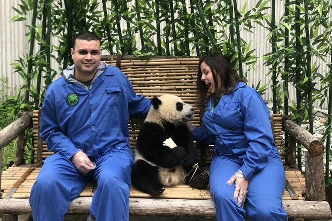 Imagen del tour: Tour de 1 día: voluntario Panda (alimentación de pandas) + sistema de riego Dujiangyan