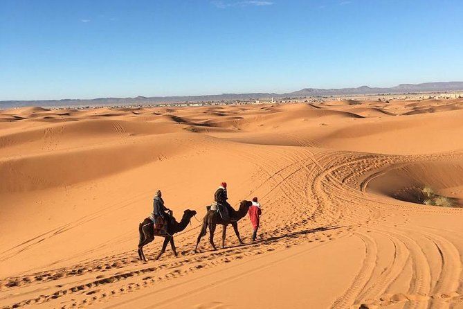 Imagen del tour: paseos en camello por el desierto