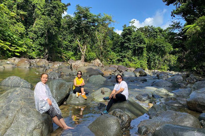 Imagen del tour: Excursión guiada de un día a la selva tropical de El Yunque desde San Juan