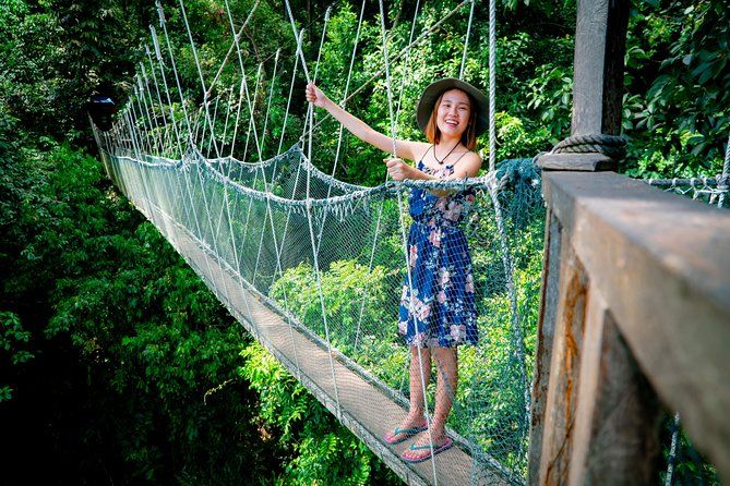 Imagen del tour: Parque Kinabalu y aguas termales Poring y caminata en canopy