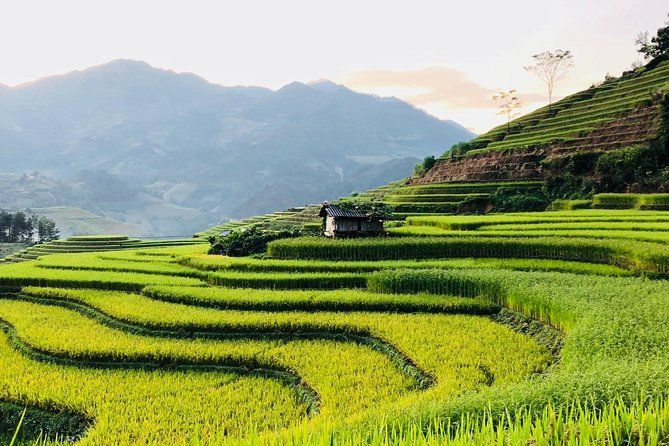 Imagen del tour: Trekking SaPa 1 Day - el mejor campo de arroz en terrazas