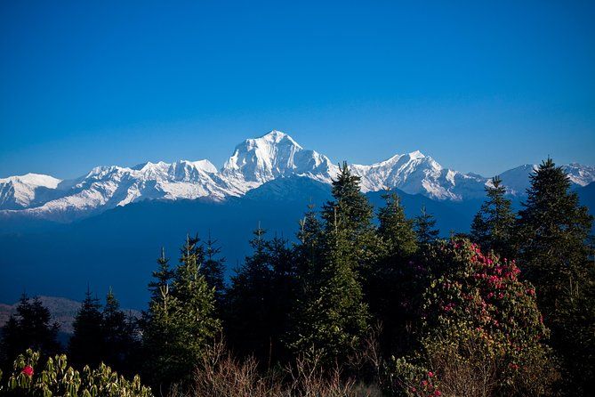 Imagen del tour: 2 días de caminata por el campamento australiano desde Pokhara