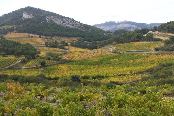 Imagen del tour: Tour de medio día para grupos pequeños de vino de Provence Cru desde Aviñón