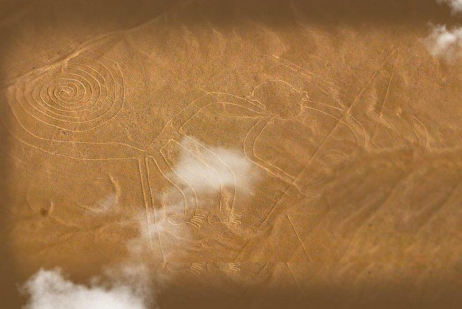 Imagen del tour: Líneas de Nazca y Dune Buggy (Huacachina) desde Ica