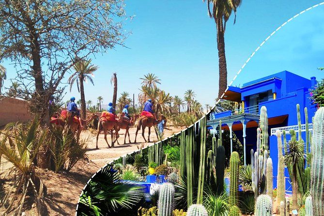 Imagen del tour: Lo mejor de Kech: jardín Majorelle con paseo en camello en las palmeras desde Marrakech