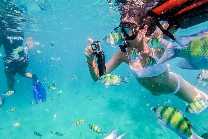 Imagen del tour: Snorkeling Phi Phi, Khai, MayaBay, Maiton, tour de las islas de bambú