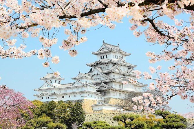 Imagen del tour: Tour privado de medio día de Himeji con guía con licencia del gobierno