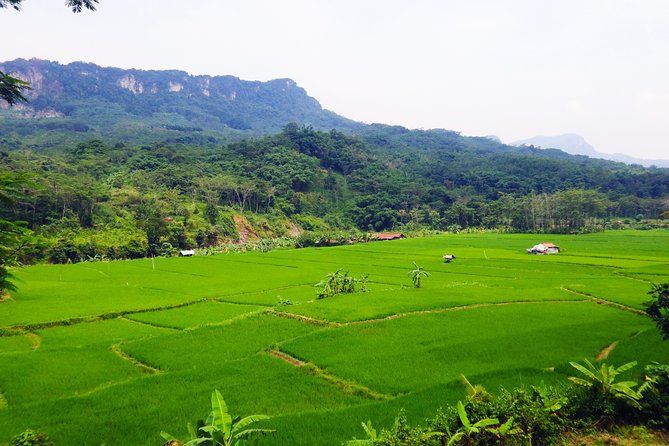 Imagen del tour: Yakarta: jardín botánico, cascada, manantiales de montaña, campo de arroz
