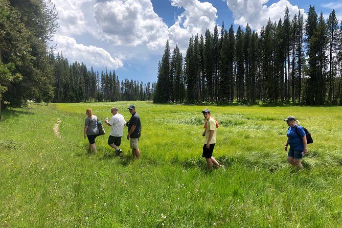 Imagen del tour: ¡Gemas ocultas privadas de Yellowstone! ¡Almuerzo con caminatas familiares incluidas!