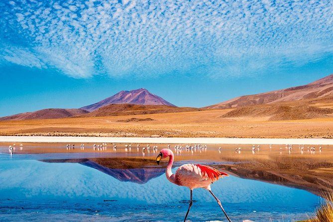 Imagen del tour: 4 días de altura en Atacama: Valle de la Luna, géiseres del Tatio y lagunas altiplánicas