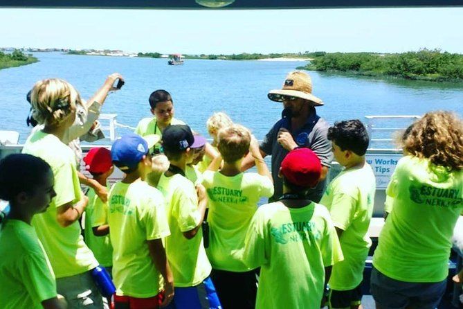 Imagen del tour: Aventura con delfines y vida silvestre de San Agustín