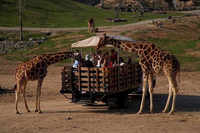 Imagen del tour: San Diego Animal Park Traslado privado desde el condado de Orange.