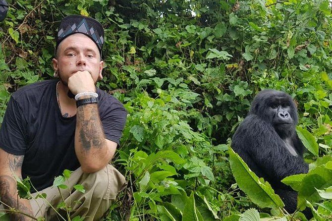 Imagen del tour: 3 días de safari de trekking de gorilas en Uganda