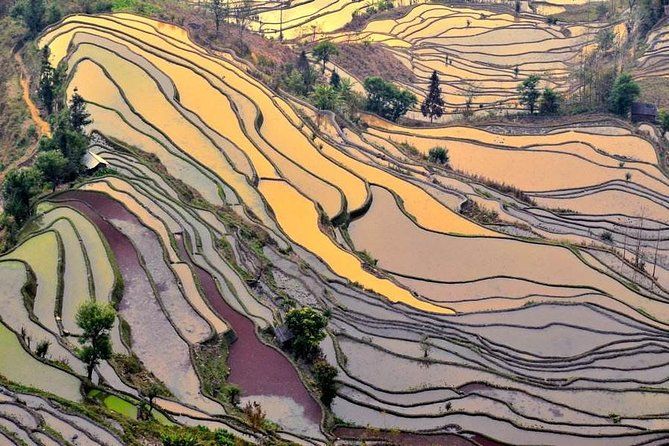 Imagen del tour: Excursión de 7 días desde Kunming a Lijiang y alojamiento en las terrazas de arroz de Yuanyang