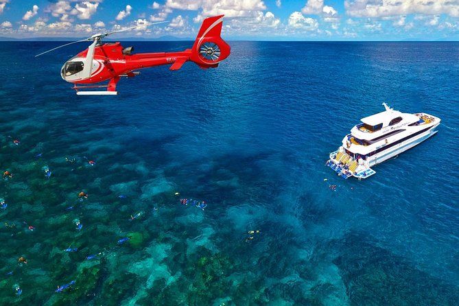 Imagen del tour: Crucero de día completo por el arrecife y vuelo panorámico en helicóptero de 10 minutos