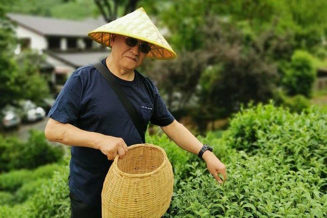 Imagen del tour: Recorrido cultural de la experiencia de la plantación de té de Hangzhou Longjing