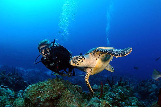 Imagen del tour: Experiencia de Buceo (Discover scuba diving)