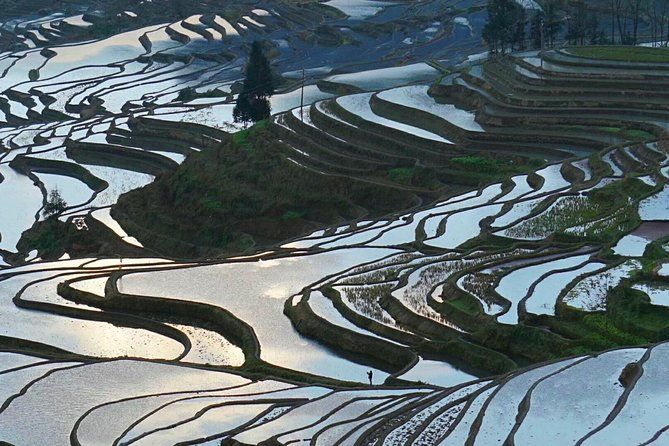 Imagen del tour: Excursión privada de 5 días a Guilin con el río Li, terrazas de arroz y ciclismo en Yangshuo