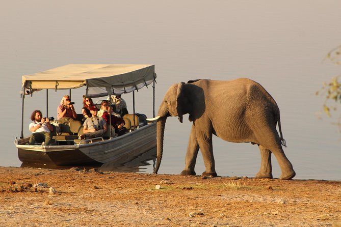 Imagen del tour: Safari de día completo en Chobe: Game Drive y safari en barco con almuerzo
