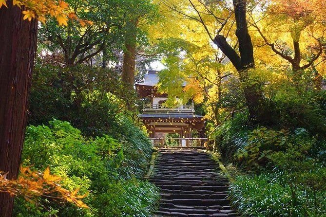 Imagen del tour: Viaje privado a los jardines y templos zen de Kamakura con guía con licencia del gobierno