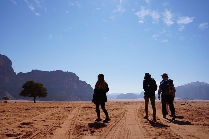 Imagen del tour: Tour de día completo por el desierto, jeep y senderismo