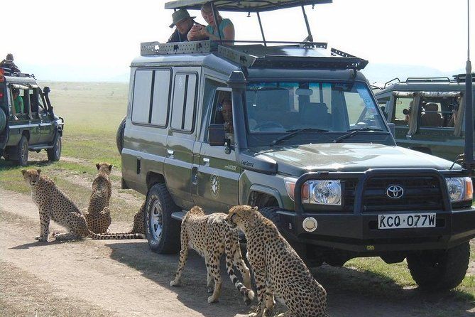 Imagen del tour: Lago Nakuru, Naivasha y Masai Mara 4 días privado Jeep Safari