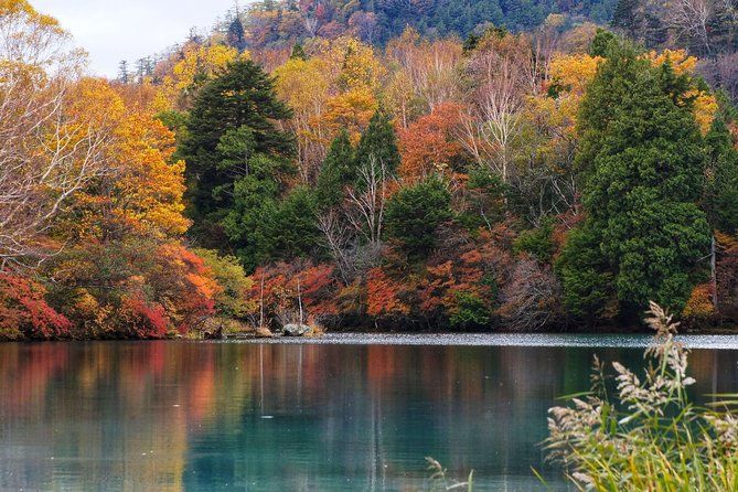 Imagen del tour: Excursión personalizada de medio día a Nikko