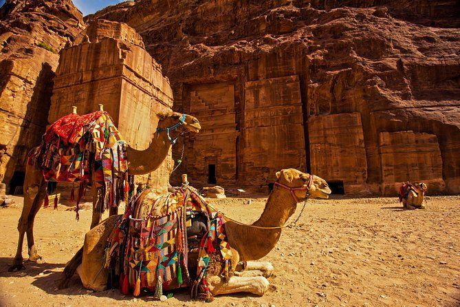Imagen del tour: Desde Amman al día Excursión a Petra