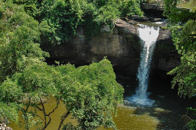 Imagen del tour: Un día explorando el Parque Nacional Khao Yai