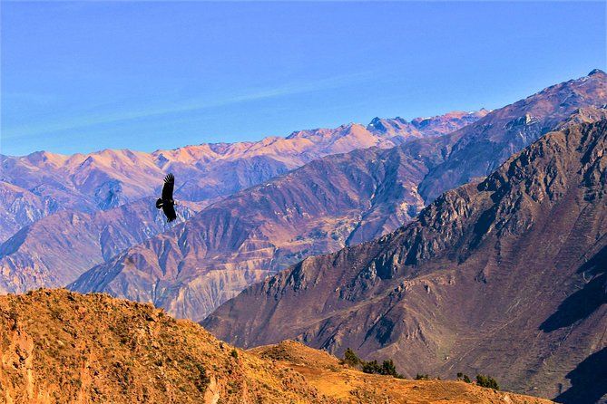 Imagen del tour: LGBT :. Tour privado de 2 días y 1 noche al Cañón del Colca desde Arequipa