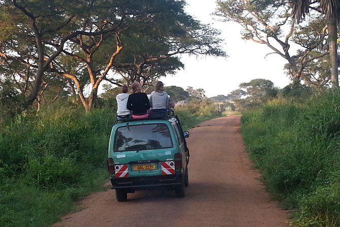 Imagen del tour: Excursión de un día a las cataratas de Murchison desde Masindi