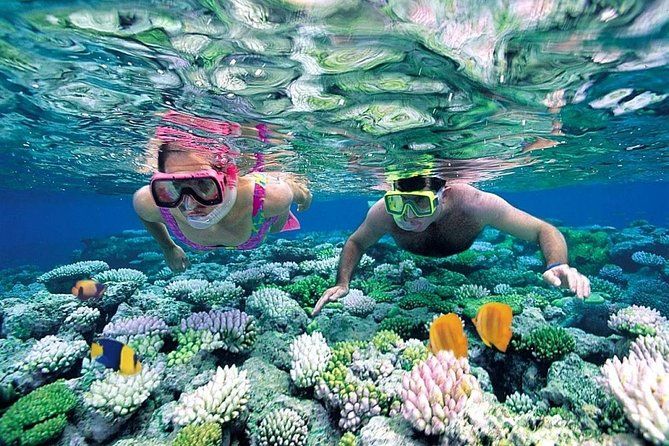 Imagen del tour: Islas Marietas con Almuerzo (ECO - DISCOVERY)