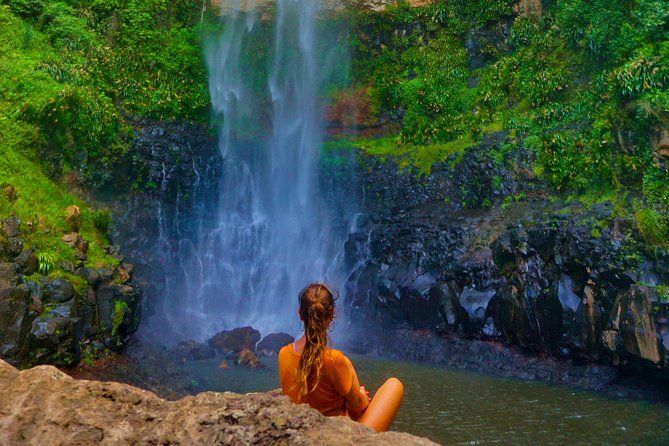 Imagen del tour: Tour privado por la selva tropical y la vida silvestre: cree su propia experiencia