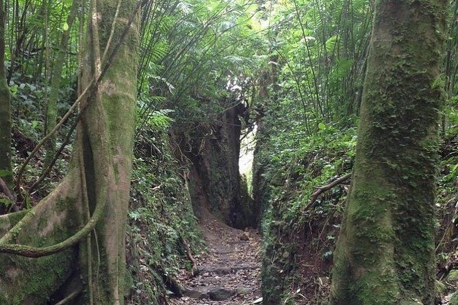 Imagen del tour: Excursión de medio día al volcán Masaya desde Managua