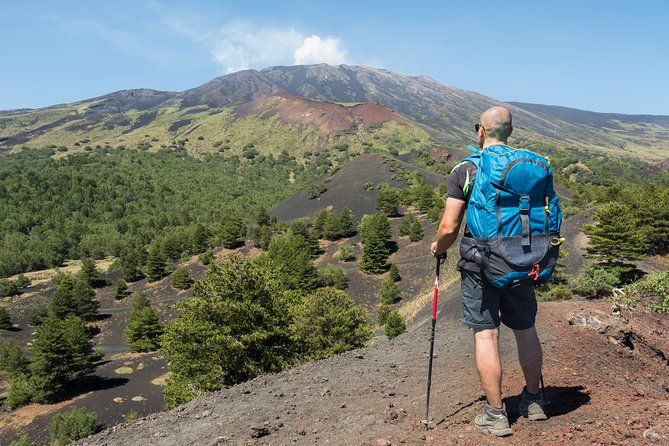 Imagen del tour: Caminata fácil por el norte del Etna