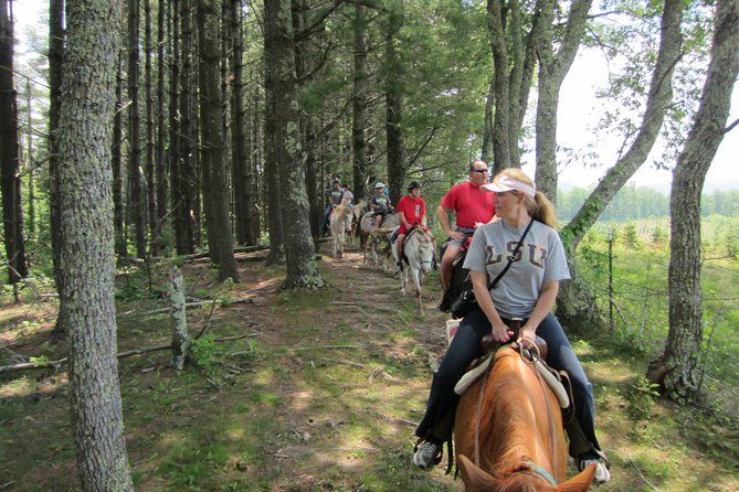 Imagen del tour: Paseo a caballo combinado por un sendero en bosques de azaleas y helechos