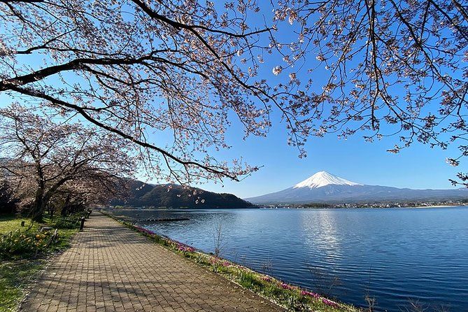 Imagen del tour: Recorrido en bicicleta por los dos lagos del monte Fuji: Kawaguchiko y Yamanakako