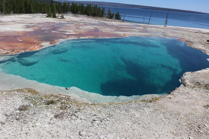 Imagen del tour: Yellowstone Upper y Lower Loop Tours