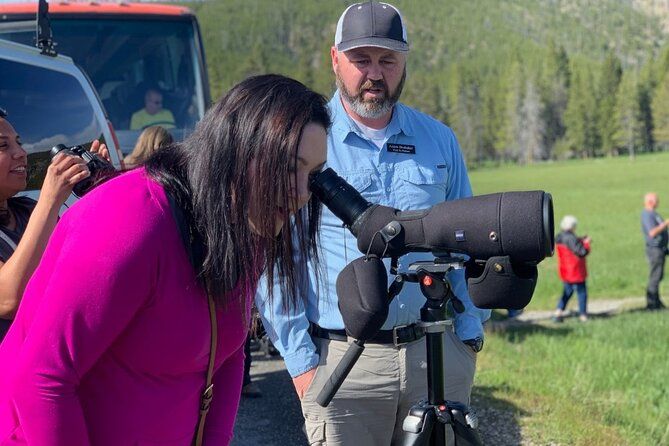 Imagen del tour: Recorrido turístico privado por la vida salvaje de Yellowstone