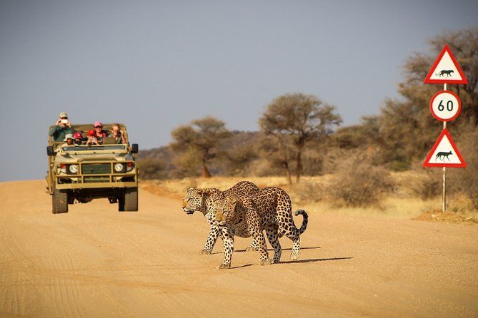 Imagen del tour: Safari de campamento clásico de 12 días en Namibia