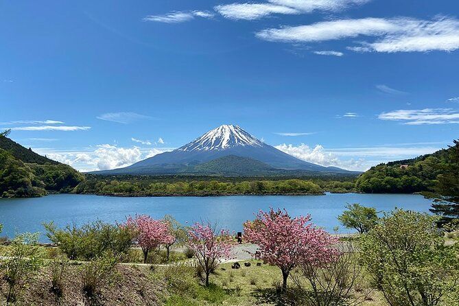 Imagen del tour: Tour en bicicleta por el monte Fuji