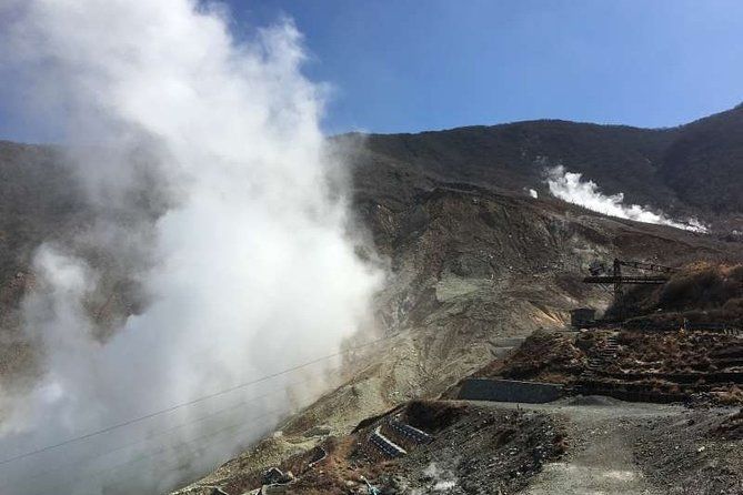 Imagen del tour: Excursión de un día a Hakone