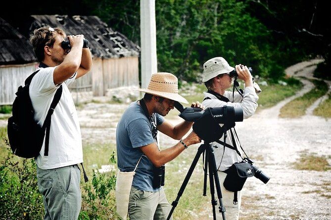 Imagen del tour: Observación de aves en el sitio arqueológico de Sian Ka´an y Muyil desde Tulum