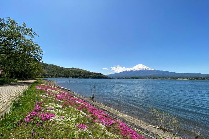 Imagen del tour: Excursión de medio día al monte Fuji en coche