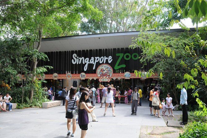 Imagen del tour: Zoo de Singapur