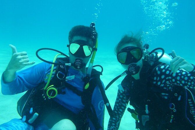 Imagen del tour: Viaje de medio día de buceo en los Cayos de Florida