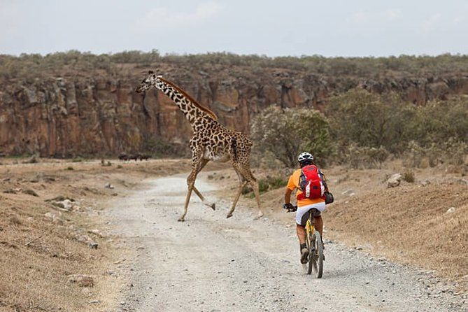 Imagen del tour: Recorrido privado en bicicleta por el Parque Nacional Hell's Gate desde Nairobi