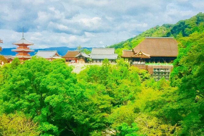 Imagen del tour: Visita guiada privada de día completo a los templos y la ciudad vieja de Kioto