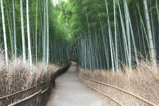 Imagen del tour: Tour privado guiado de un día en Kioto, Arashiyama