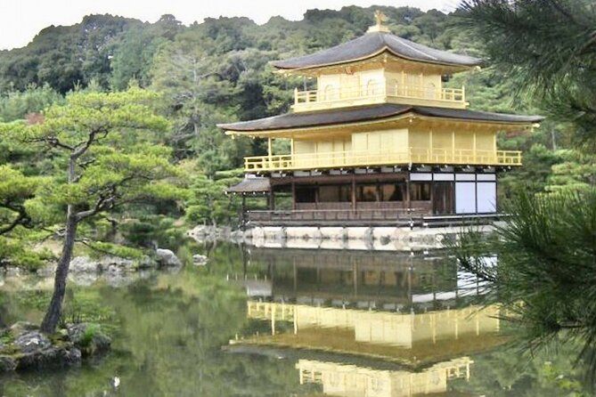 Imagen del tour: Visita guiada privada de día completo a los templos de Kioto